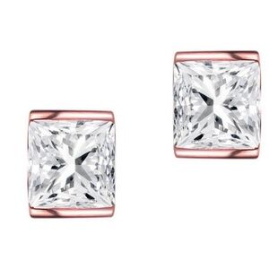 NWT Genevive Sterling Silver Clear Cubic Zirconia Stud Earrings